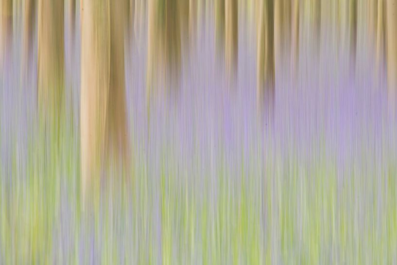 Frühlingswald in Bewegung von Elles Rijsdijk