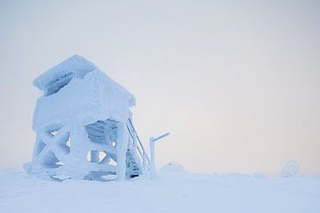 Volledig besneeuwde uitkijktoren in Salla (Finland)