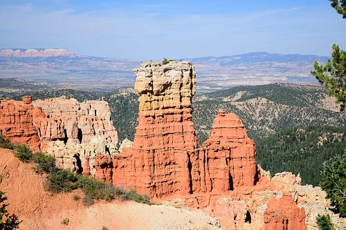 Rotsen overleven in Agua Canyon