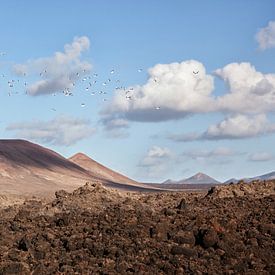 Lanzarote landscape panorama sur Peter van Eekelen