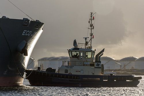 Sleepboot tijdens het afmeren van een schip in de haven Amsterdam
