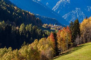 Herfst bij Mühlebach in het Wallis in Zwitserland van Werner Dieterich