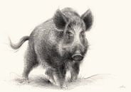 Das Wildschwein, Beschützer des Waldes von Heidemuellerin Miniaturansicht