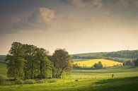 Dromige velden op het Noord-Franse platteland van Justin Suijk thumbnail