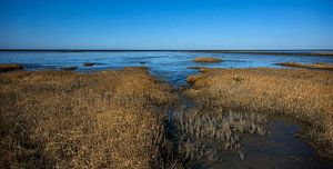 Salzwiese im Wattenmeer 2 von Bo Scheeringa Photography