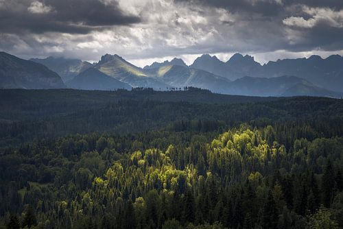 Vue majestueuse sur le parc national des Tatras dans les Carpates, Po