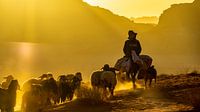 Schapenhoeder met hond en schapen in Wadi Rum, Jordanië van Jessica Lokker thumbnail