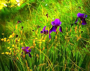 Moody Purple Iris van Dorothy Berry-Lound