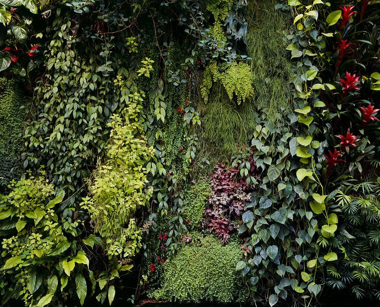Groene muur 01 van Serge Sautereau