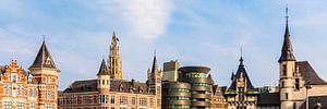 Panorama Antwerpen met de Onze-Lieve-Vrouwekathedraal van Werner Dieterich