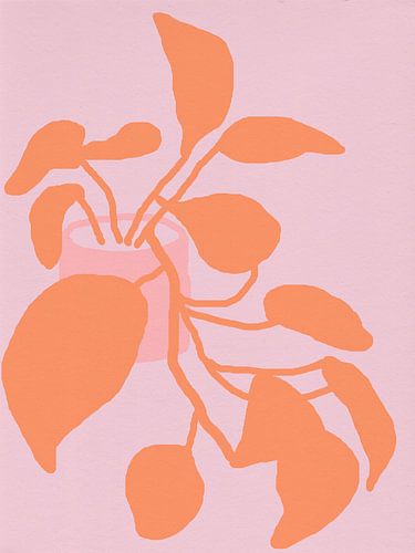 Epipremnum of pothos. Kamerplant in oranje en roze.