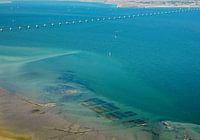 Oyster culture on beds in the Oosterschelde near Kats