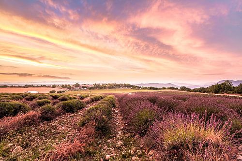 Seasons come and seasons go