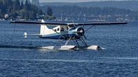 De Havilland Canada DHC-2 Beaver watervliegtuig. van Jaap van den Berg thumbnail