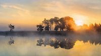 Krachtige zonsopgang op een rustige mistige lake_2 van Tony Vingerhoets thumbnail