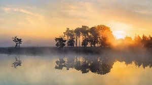 Leistungsstarke Sonnenaufgang an einem ruhigen nebligen lake_2 von Tony Vingerhoets