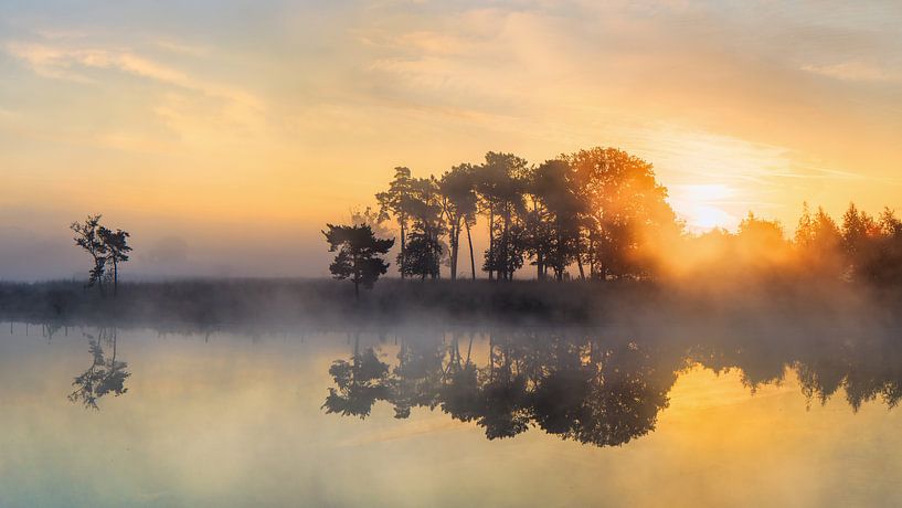 Krachtige zonsopgang op een rustige mistige lake_2 van Tony Vingerhoets
