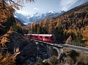 Bernina Express van Vincent Croce thumbnail