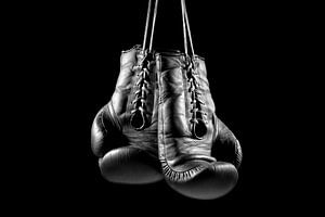 Vieux gant de boxe