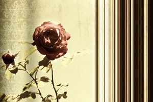 Pair of roses
