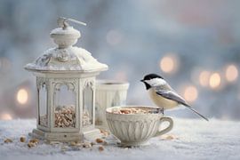 Koolmees bij Winterlantaarn  Rustgevende Foto van Joriali Fine Art