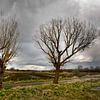 Brabantse Landschappen von Edwin Wiekens