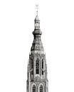 De Grote Kerk, Breda - Art-print van Steven van Ginderen thumbnail