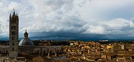 Panoramablick über den Dom von Siena in der Toskana