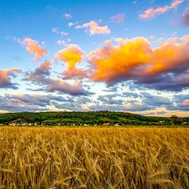 Thuis 2 van Thorsten John