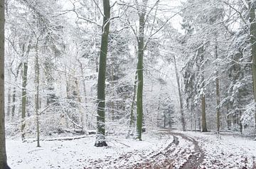 Boslandschap met sneeuw van Corinne Welp