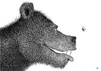 Der Bär und der Schmetterling