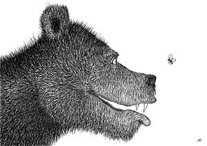 Der Bär und der Schmetterling