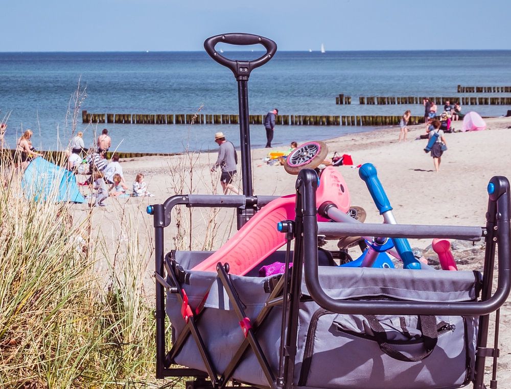 Strandwagen Op Het Strand Van Warnem Nde Aan De Oostzee Van Animaflora