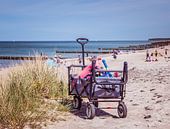 Strandwagen am Strand von Warnemünde an der Ostsee von Animaflora PicsStock Miniaturansicht