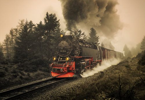 Brockenbahn op de Goetheweg in de Harz