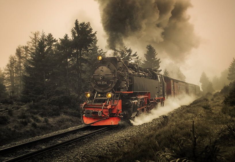 Brockenbahn am Goetheweg im Harz von Steffen Henze
