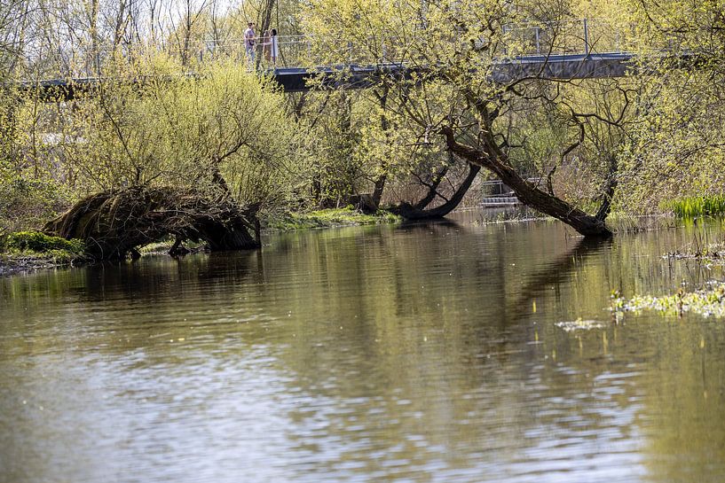 Rathenow &quot;City of Optics by David Krause