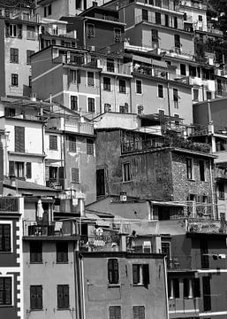 Huizen tegen een berg in Cinque Terre van BY MIRNA