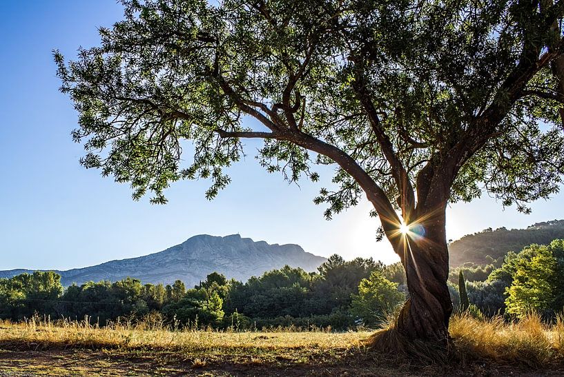 Sainte Victoire by Melissa Goedbloed