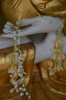 Buddhas Hände