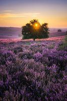 Posbank sunrise STANDING