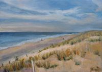 Noord-Hollands strand