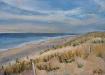 Noord-Hollands strand