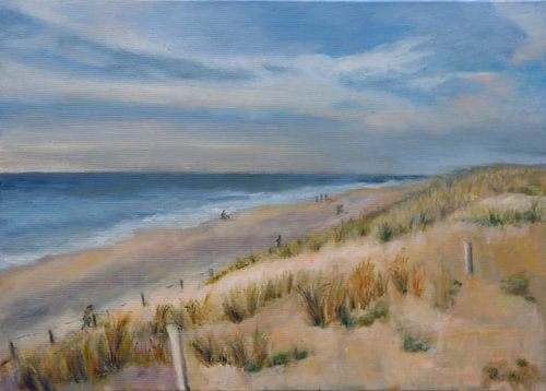 Noord-Hollands strand