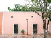 Le mur rose | Photographie de voyage à Valladolid Mexique par Raisa Zwart Aperçu