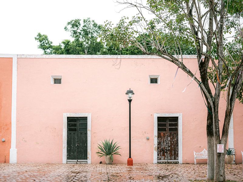 Die rosa Wand | Reisefotografie in Valladolid Mexiko von Raisa Zwart Reisefotografiedrucke