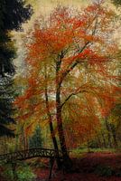 De buiging voor de herfst