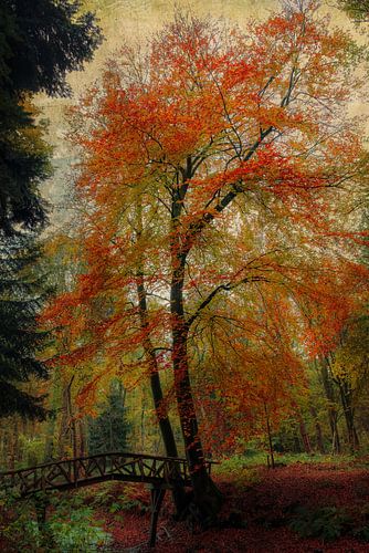 S'incliner devant l'automne