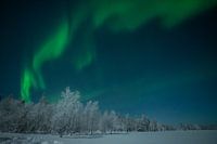 Noorderlicht in Lapland
