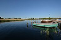 Fischerboote Wreecher See - Putbus auf Rügen von GH Foto & Artdesign Miniaturansicht